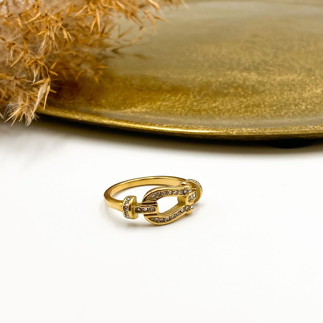 Anillo Fnita